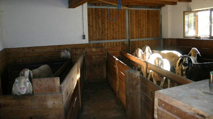 Michelas - Hof Umhausen Exteriör bild